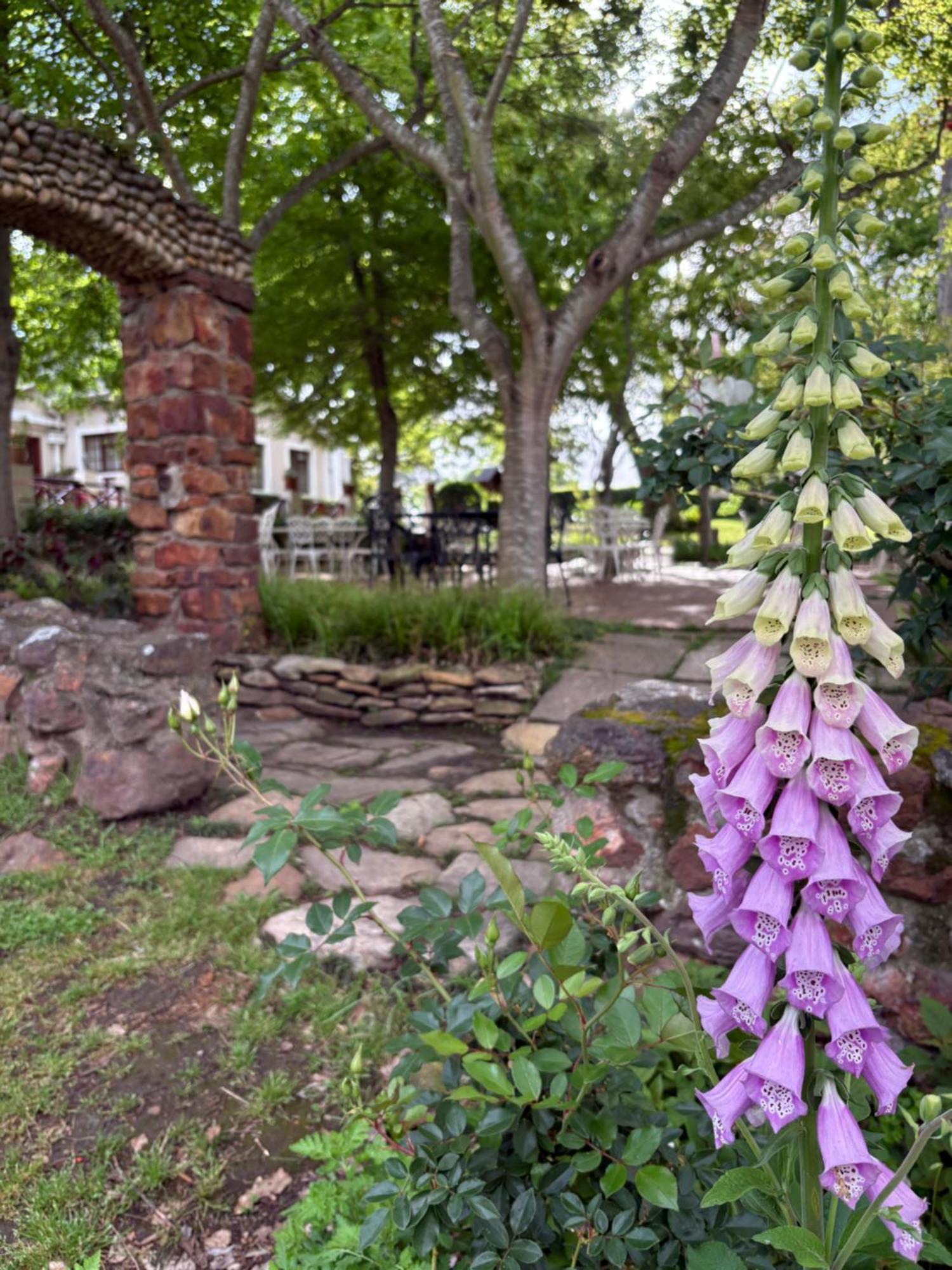 Eight Bells Mountain Inn Ruiterbos Exterior foto